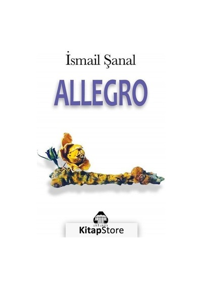 Allegro - İsmail Şanal - Yeni Alan Yayıncılık