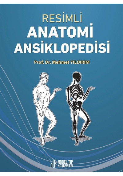 Resimli Anatomi Ansiklopedisi N11.1825