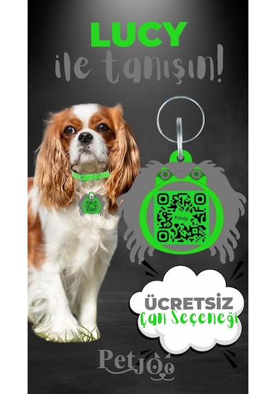 Petjoo 11.Lucy Gri-Yeşil Qr'lı Köpek Künyesi