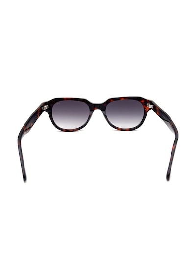 Black Blk8433 C2 Güneş Gözlüğü