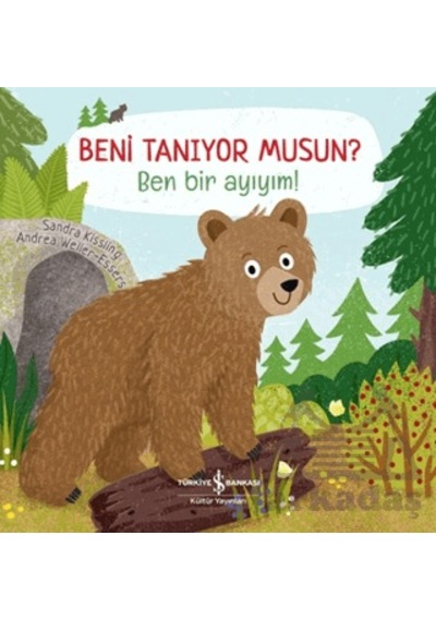 Beni Tanıyor Musun Ben Bir Ayıyım İş Bankası Kültür Yayınları