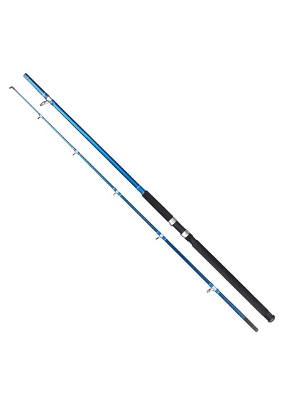 Remıxon Blue Bırd 3.00m 100-200gr 2p Kamış