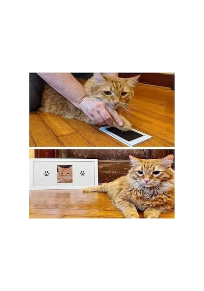 Kedi Köpek Pati İzi Fotoğraf Çerçevesi Seti Çok Renkli