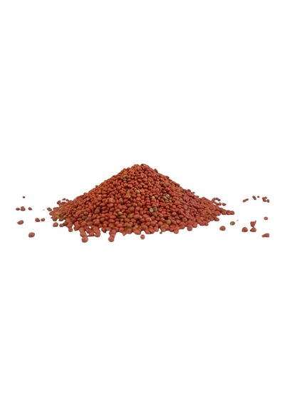Ispanak Tohumu İthal Matador Çeşidi 250 GR