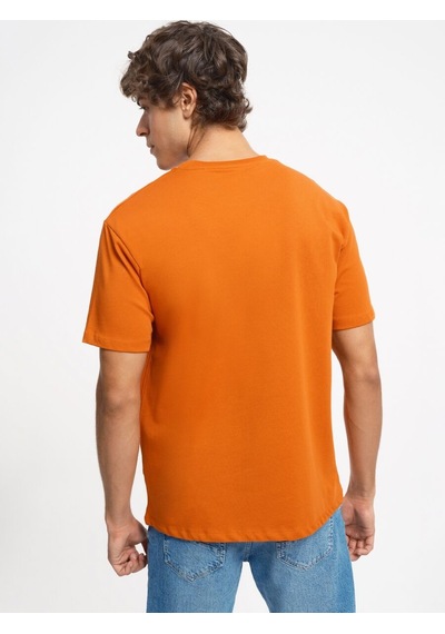 LOFT Loose Fit Erkek Tshirt K.kol Lf2033049 Q1.v1 Turuncu