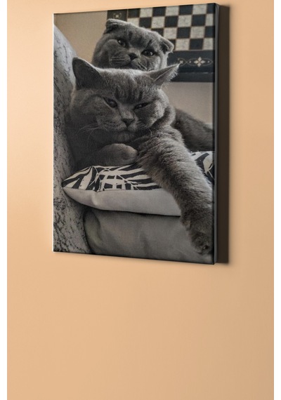 Webstyle Sayılarla Boyama Seti Kasnaklı Ponçik Kediler 60x75 Cm