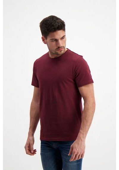 Rich Erkek Yıkamalı Basic T-Shirt (481343677)
