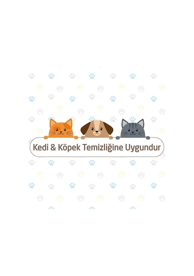 Petcare Evcil Hayvan Islak Havlusu 12x60 Yaprak