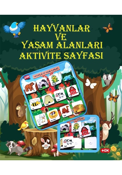 Tox Hayvanlar ve Yaşam Alanları Keçe Cırtlı Aktivite Sayfası