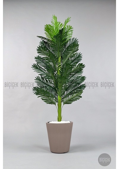 Yapay Areka Ağacı 160-180 Cm Ss