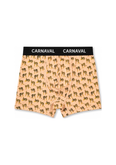 Carnaval Socks Carnaval Wild Orbit Erkek Boxer 3'lü Set Çoklu