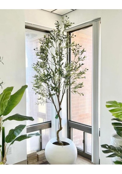 Yapay Zeytin Ağacı Lüx 240cm Doğal Gövdeli Gerçek Görünümlü Yapay Ağaç