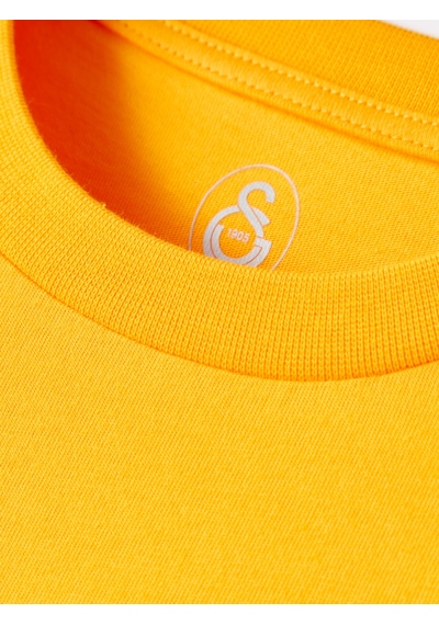 Gsstore Galatasaray Erkek T-shirt E252097 Sarı