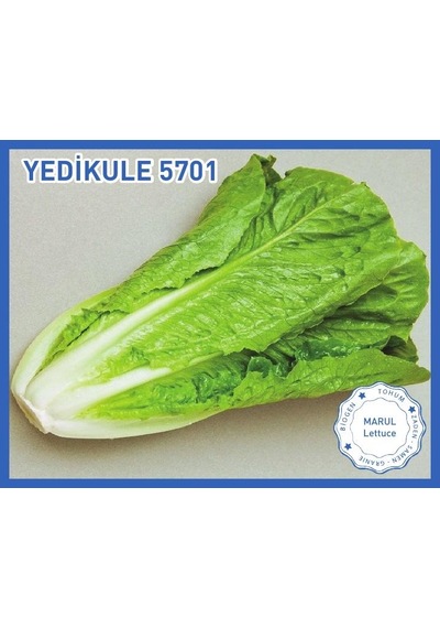 Biogen Yedikule Marul Tohumu 10GR 1 Paket