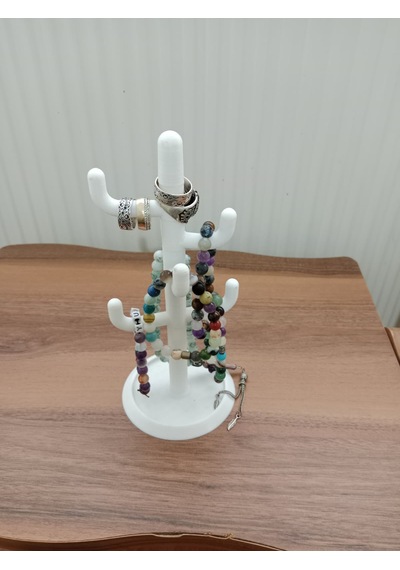 Kaktüs Takı Standııı