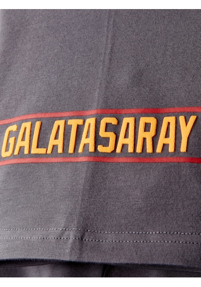 Gsstore Galatasaray Erkek T-shirt E252096 Antrasit