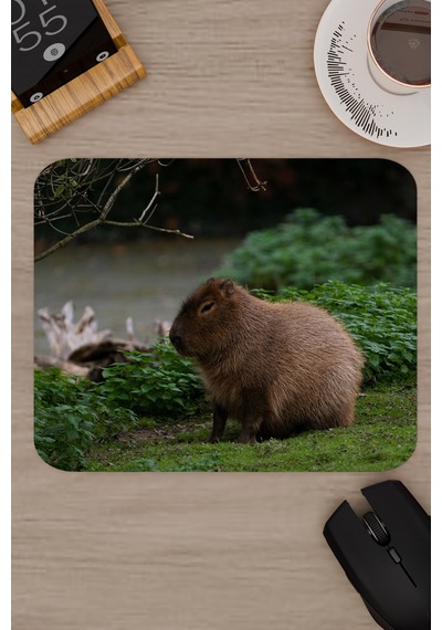 Capybara Kaymaz Dikişli Kauçuk Oyuncu Mousepad V5 - 22x18 Gaming Mouse Pad Fare Altlığı