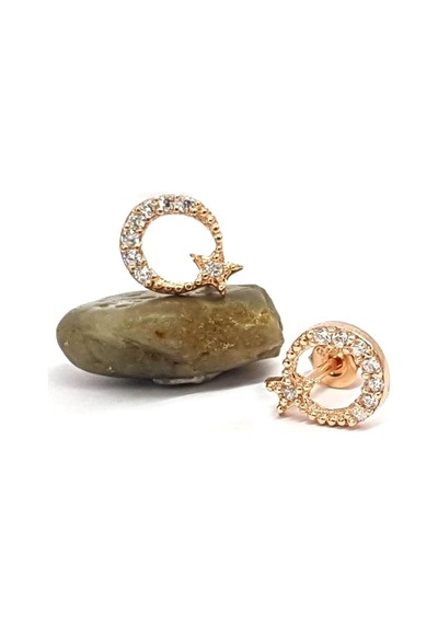 Ay Yıldız Figürlü Rose Gümüş Küpe N11.15019