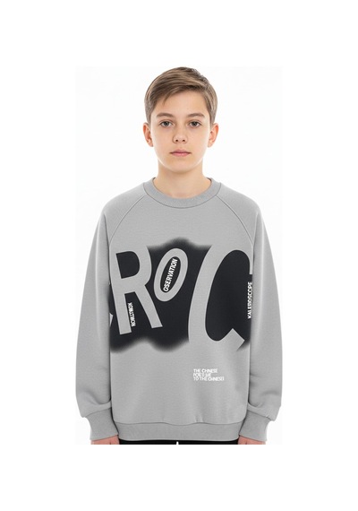 Baskılı Erkek Çocuk Sweatshirt-90876 Gri