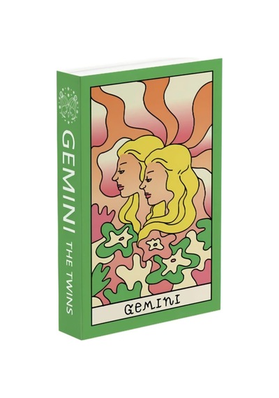516 Gemını The Twıns