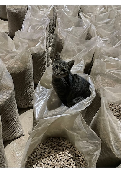 Kedi Kumu 20kg %100 Çam Peleti 6mm Odun Peleti 20kg Çuval