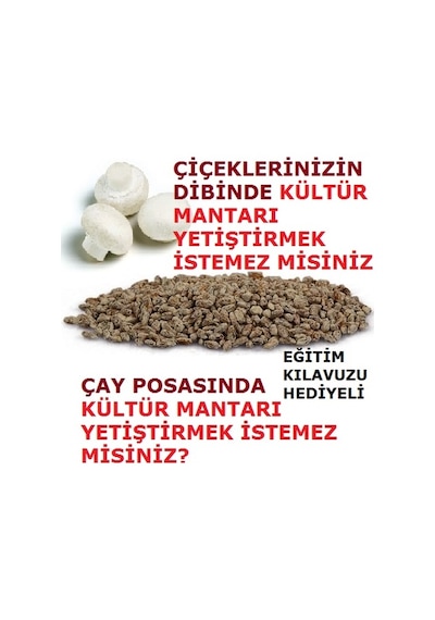 2000 Adet Beyaz Şapkalı KüLür Mantarı Tohumu N116265
