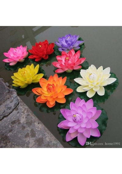 Nadir Ithal Lotus Tohumu 2 Tohum Lotus Çiçeği Tohumu Nilüfer Tohumu Su Zambağı Tohumu Zambak Tohumu