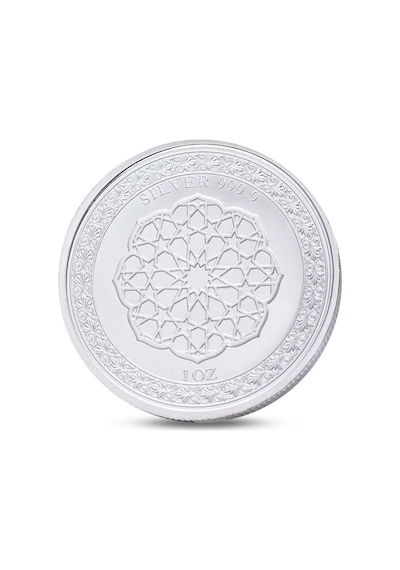 Agakulche Ayı Gümüş Sikke Coin