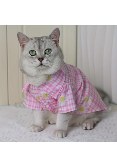 Kedi Ve Köpek İçin Papatya Tasarımlı Tshirt