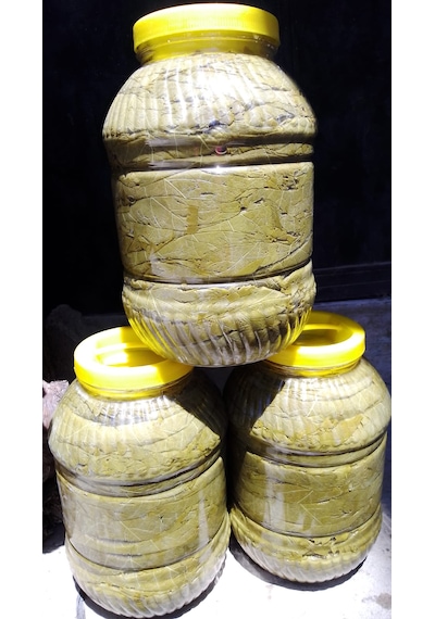 Tokat Mayıs Yaprağı 5 KG