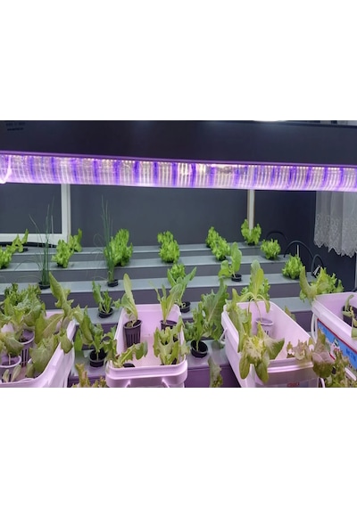 Growlight Bitki Büyütme Ledi Premium Seri 1 Metre