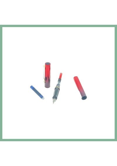 Bşkvirgo Dk05 Dolmakalem Teklı Pompa & Kartuslu 812 1 Adet Bsk2026 Çok Renkli