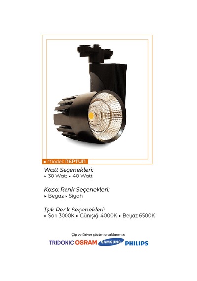 Ledli Ray Spot Siyah Kasa 40 Watt Günışığı 3000k