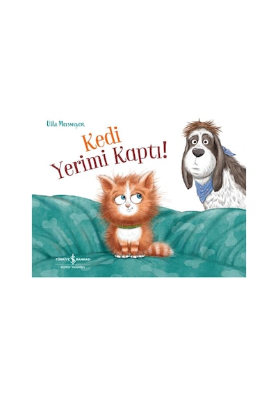 Kedi Yerimi Kaptı