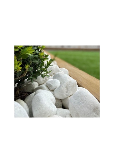 Asenya Dolomit Taş 10 Kg 6-10 Cm Beyaz Dolomit Taş Saksı Dibi Dekoratif Taş Bahçe Süsleme Taşı Peyzaj Taşı