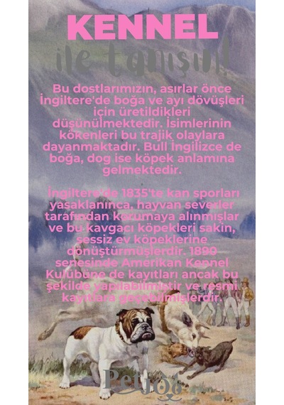 Petjoo 16.Kennel Gri-Pembe Qr'lı Köpek Künyesi