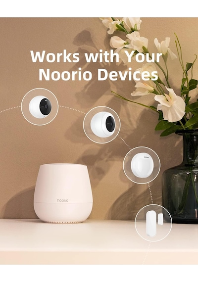 Noorio Alarm Sistemi - Akıllı Hub İle Ev Güvenliği İçin