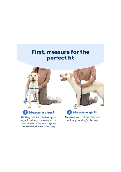 Tr Easy Walk No-pull Köpek Göğüs Tasması, Çekmeyi Önlemeye Yardımcı, Kontrolü Ele Alın Ve Tasmayla Daha İyi Genel