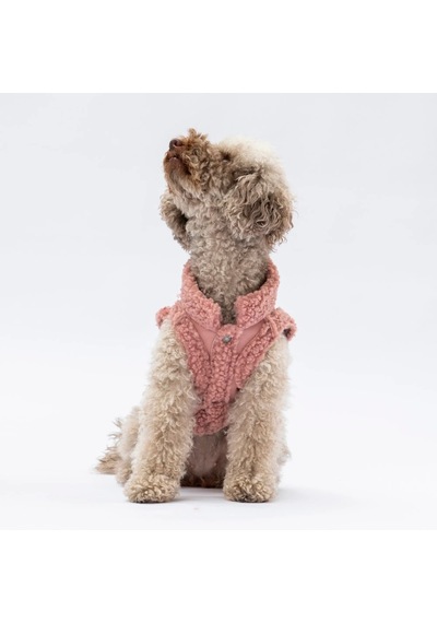 Pawstar Rose Churchill Yelek 2xl