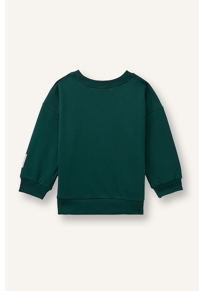 Defacto Oversize Hayvan Ve Yazı Baskılı Bisiklet Yaka Sweatshirt Erkek Bebek I3810a526wngn1116 Yeşil-gn1116