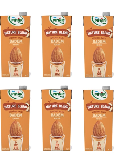 Pınar Nature Blend Bitkisel Bazlı Badem İçeceği 1 Lt X 6 Adet