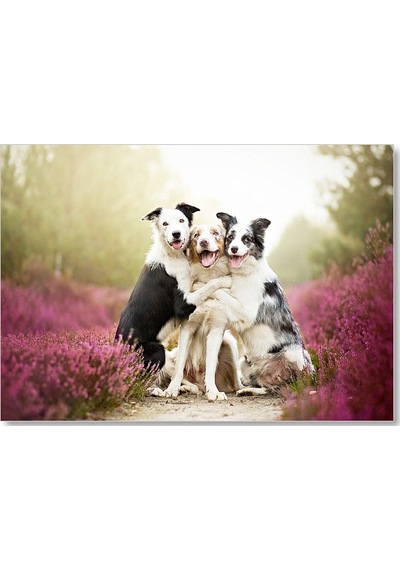 Cakasepetim Gülerek Poz Veren Sevimli Köpekler Ve Çiçekler Ahşap Mdf Tablo