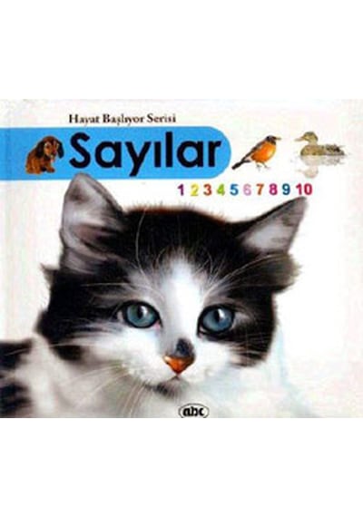 Sayılar (Kitap + İnteraktif CDRom)- Abc Yayınevi