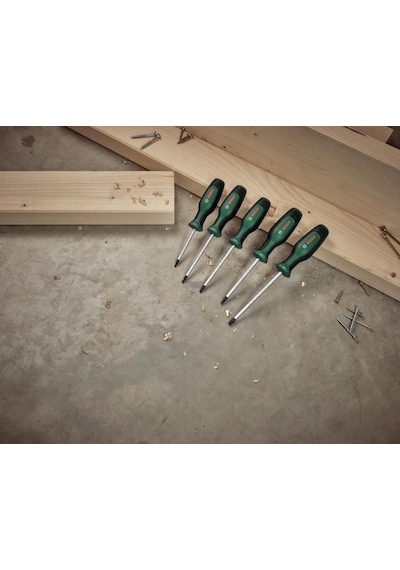 Bosch T10 - T30 Torx Tornavida Seti 5 Parça - 1600A02BX6