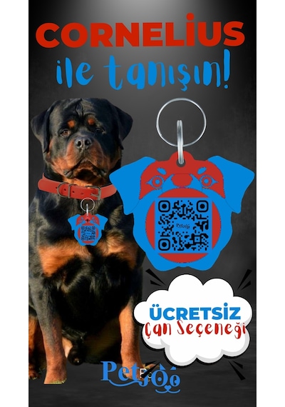 Petjoo 20.Cornelius Mavi-Kırmızı Qr'lı Köpek Künyesi
