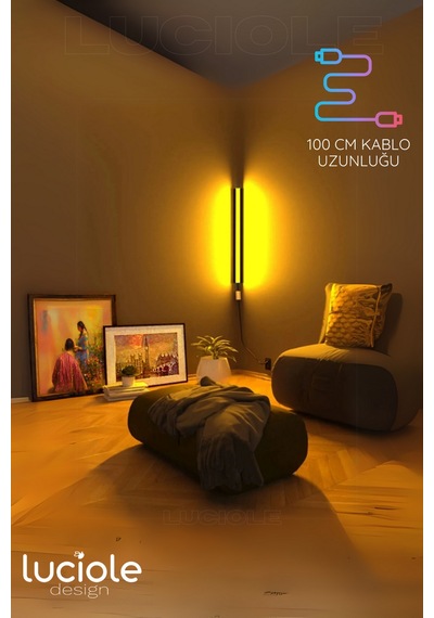 Rgb Led Abajur Aplik Gece Lambası Lambader Renkli Uzaktan Kumandalı Işık - Ledtube9