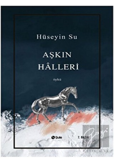 Aşkın Halleri - Hüseyin Su - Şule Yayınları