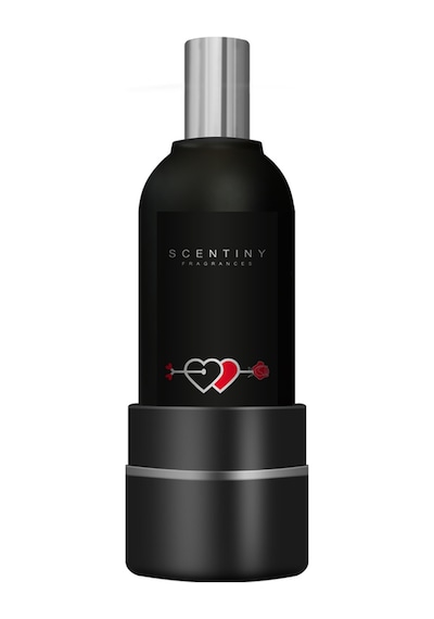 Scentiny Fragrances Dış Genital Erkek Parfümü 100 ML