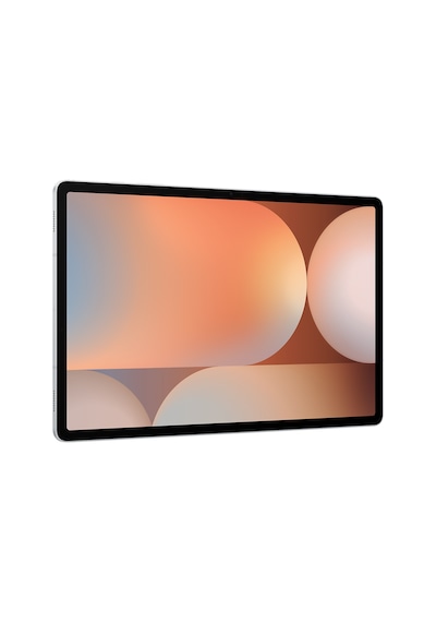 Samsung Galaxy Tab S10+ SM-X820 Wi-Fi 12 GB 256 GB 12.4" Tablet