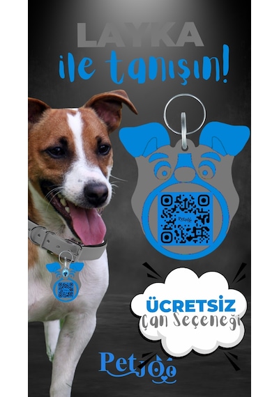Petjoo 22.Layka Mavi-Gri Qr'lı Köpek Künyesi
